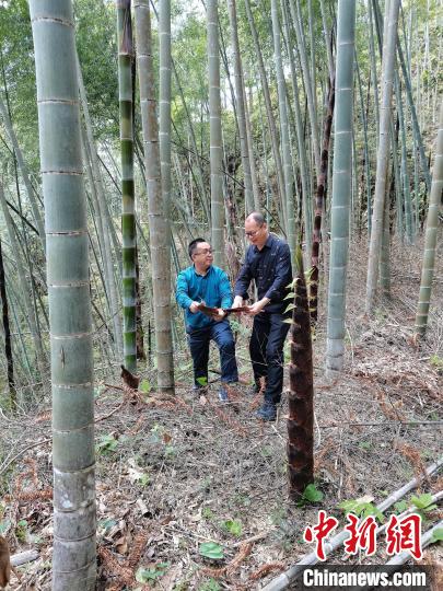 米乐m6笋壳制作日本食品包装 建阳这位老板不一般(图2)